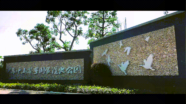 湿地2.gif