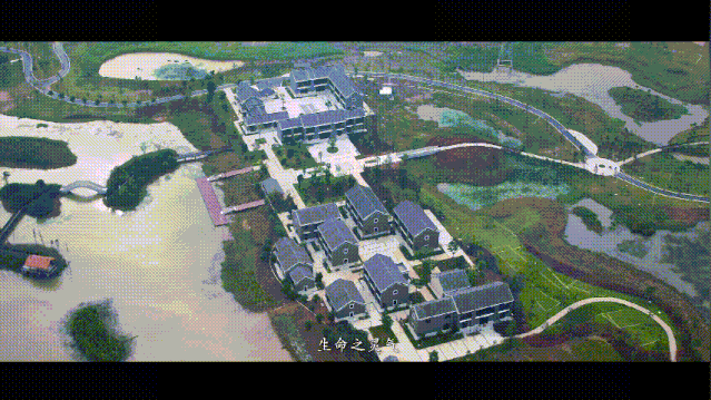 湿地7.gif