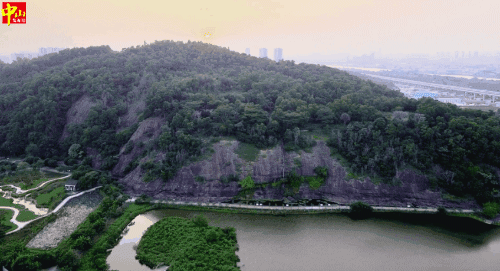 9.gif