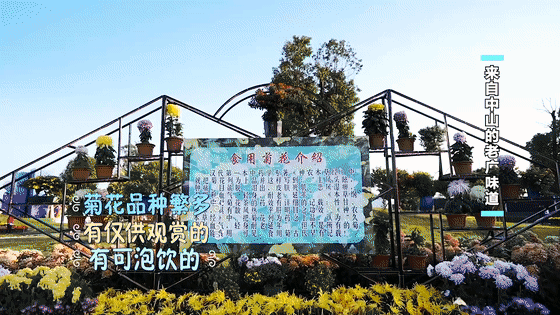 微信图片_20220719110916.gif