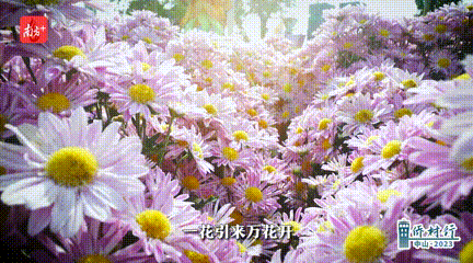 640-(4).gif